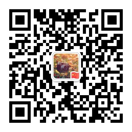 兰州金诚芯电子科技有限公司微信二维码